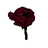 bloodredrose emoji