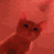 partycat emoji