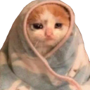 Cozycat emoji