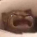 cat_WAAAH emoji