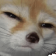FoxStareSuspicious emoji