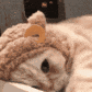 cat_sleep emoji