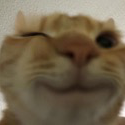 Cat_wink emoji