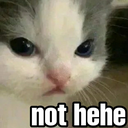 nothehecat emoji