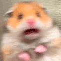 hamster_scared emoji