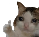 Meme_Sad_Cat_Thumbs_Up emoji