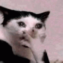 cat_omg_cry emoji