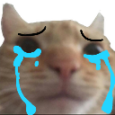 cat_cry_died emoji