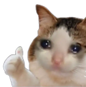 Sad_Cat_Thumbs_Up emoji