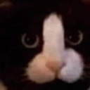 s_meme_catpenis emoji