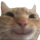 hehecat emoji