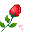 ko_rose_red emoji