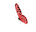 red emoji