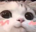 cat_blush emoji