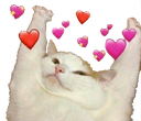 YAY emoji