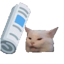 Cat_Bonk emoji