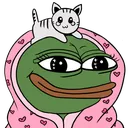 comfy_pepe_cat emoji