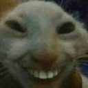 cat_hehe emoji