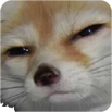 doggo_sus emoji
