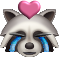 lovecry_raccoon emoji