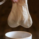 Teabag Discord Server Logo