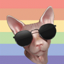 House of Bingus Discord Server Logo