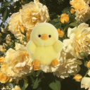 𝛝𝛠   ⁺   𝓝𝑒k𝑜u   ₊   🌻 Discord Server Logo