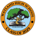 🏫 Wayland Class of 2029 🏫 Discord Server Logo