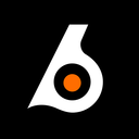 Birdeye Discord Server Logo