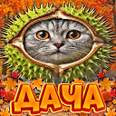 🍁Дача Зеина🍂 Discord Server Logo