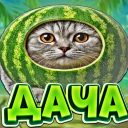 🥥 〡Дача Зеина〡🌴 Discord Server Logo