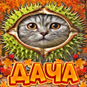 🍁〡Дача Зеина〡🍂 Discord Server Logo
