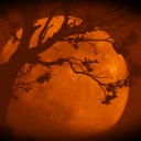 Nightbloom Discord Server Logo