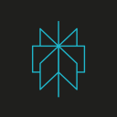 Perplexity Discord Server Logo
