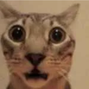 The Meme Asylum Discord Server Logo