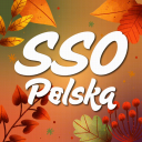 Star Stable Online Polska Discord Server Logo