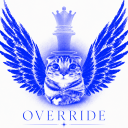 Override Discord Server Logo