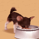 /itsy 🐹🍭 Discord Server Logo