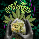 O-O-O O'Mally's VC Chat 21+! Discord Server Logo