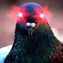 The LazerPigeon Community Discord Server Logo