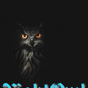 HOOTERS🦉 Discord Server Logo