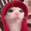 1v1 Hood Discord Server Logo