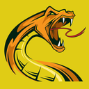 Stealthy Snake Discord Server Logo
