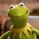 Kermits Kingdom Discord Server Logo