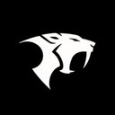 Pure Fighting Brotherhood Discord Server Logo