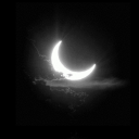 MOON LIGHT 🌙✨ Discord Server Logo