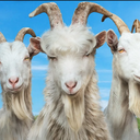 VAGABUNDAS Discord Server Logo