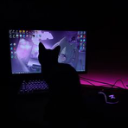 Kitty's Empire<3 Discord Server Logo