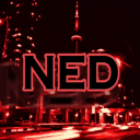 NED Discord Server Logo