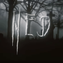 NED Discord Server Logo